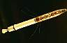 explorer1.gif