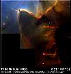Mlhovina Trifid pozorovan HST [Foto: STScI]. Vt obrzek 76.96 Kb, 640 x 686